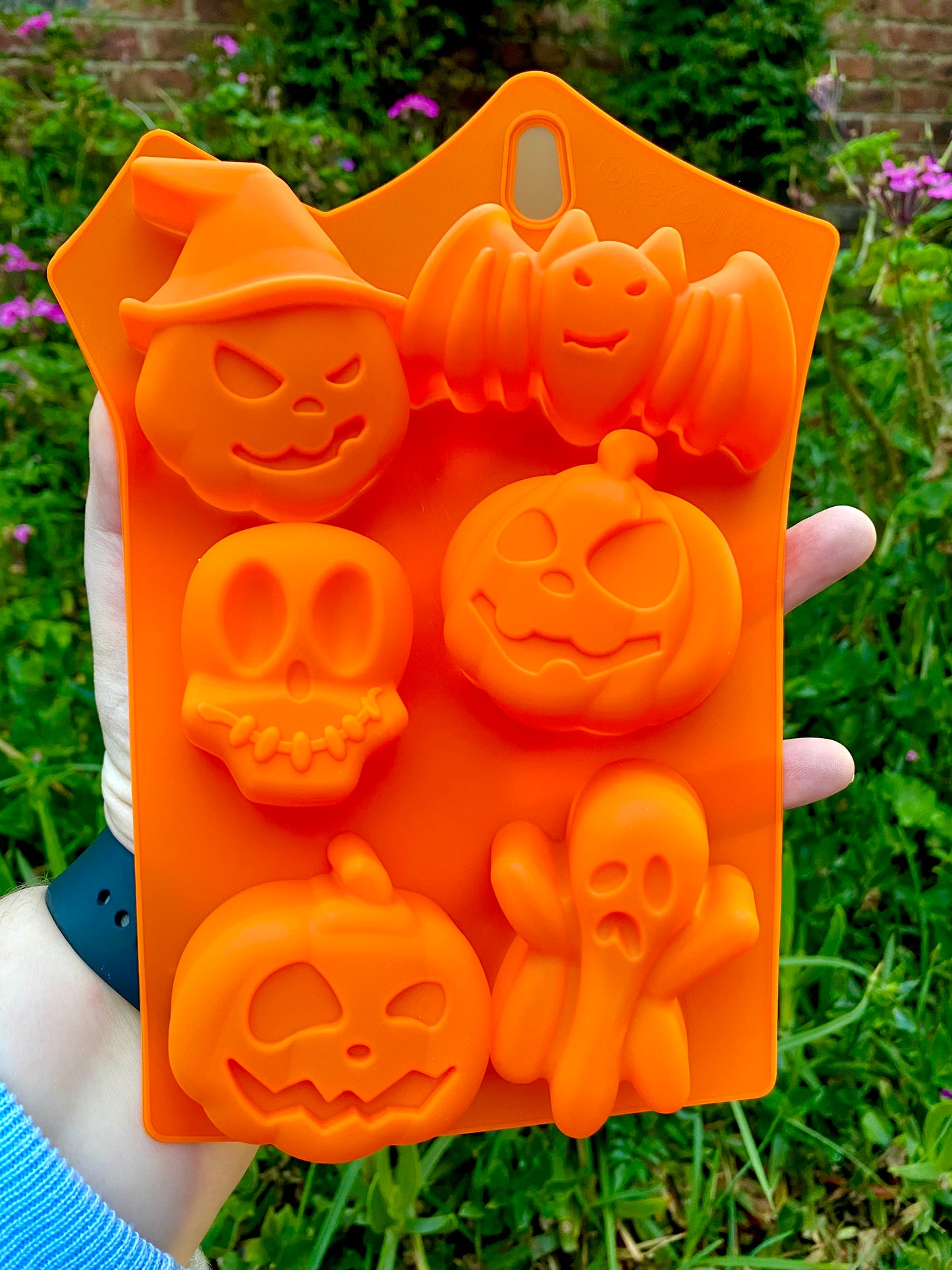 Halloween Multi-Purpose Mould