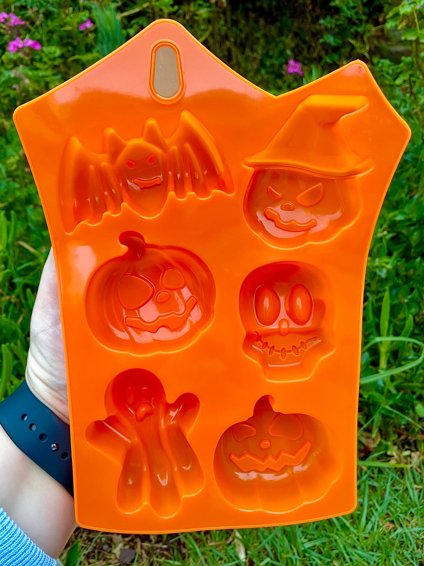 Halloween Multi-Purpose Mould